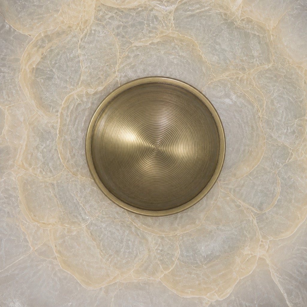 Texture de coquille naturelle Shellure